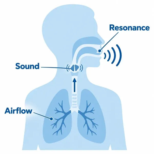 Your voice is a connected system.